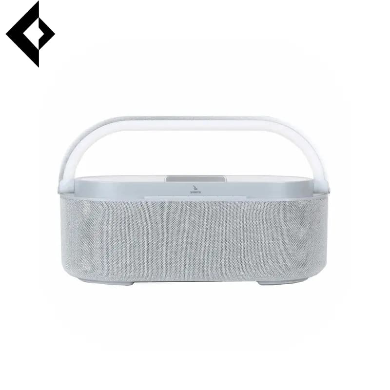 اسپیکر بلوتوثی دیوریکس مدل DX-W100