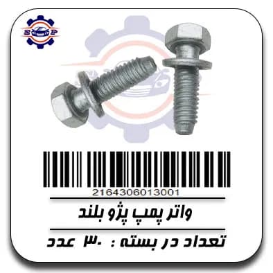 واتر پمپ پژو بلند