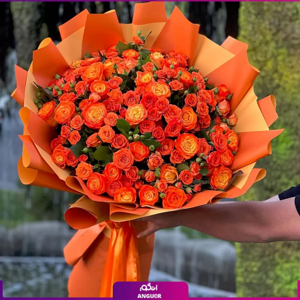 دسته گل رز مینیاتوری طلوع گل‌ها
