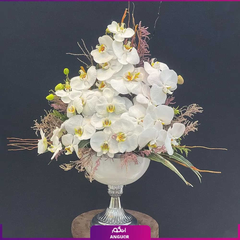 جام ارکیده گل پناه