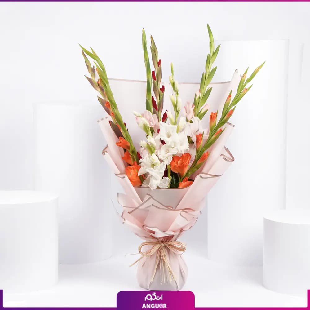 دسته گل گلایول دو رنگ 8 شاخه