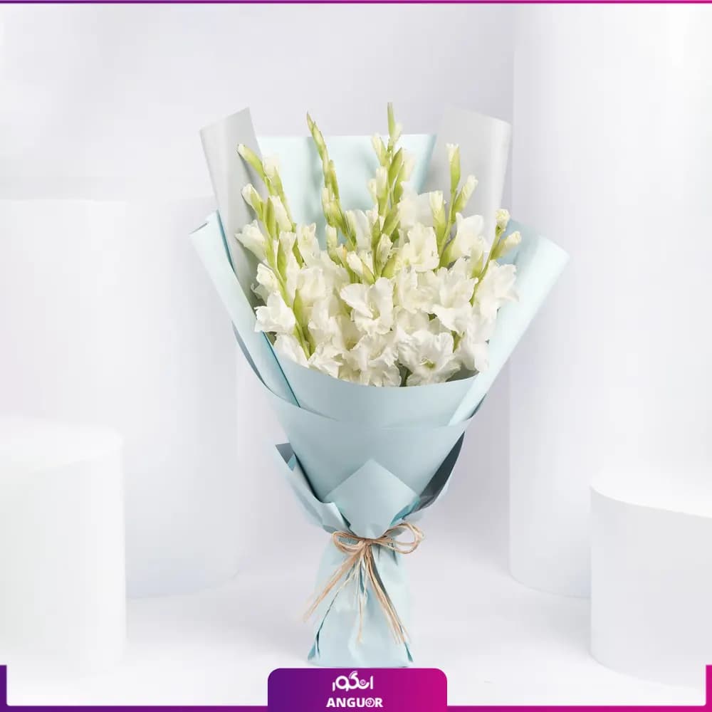 دسته گل گلایول سفید 8 شاخه