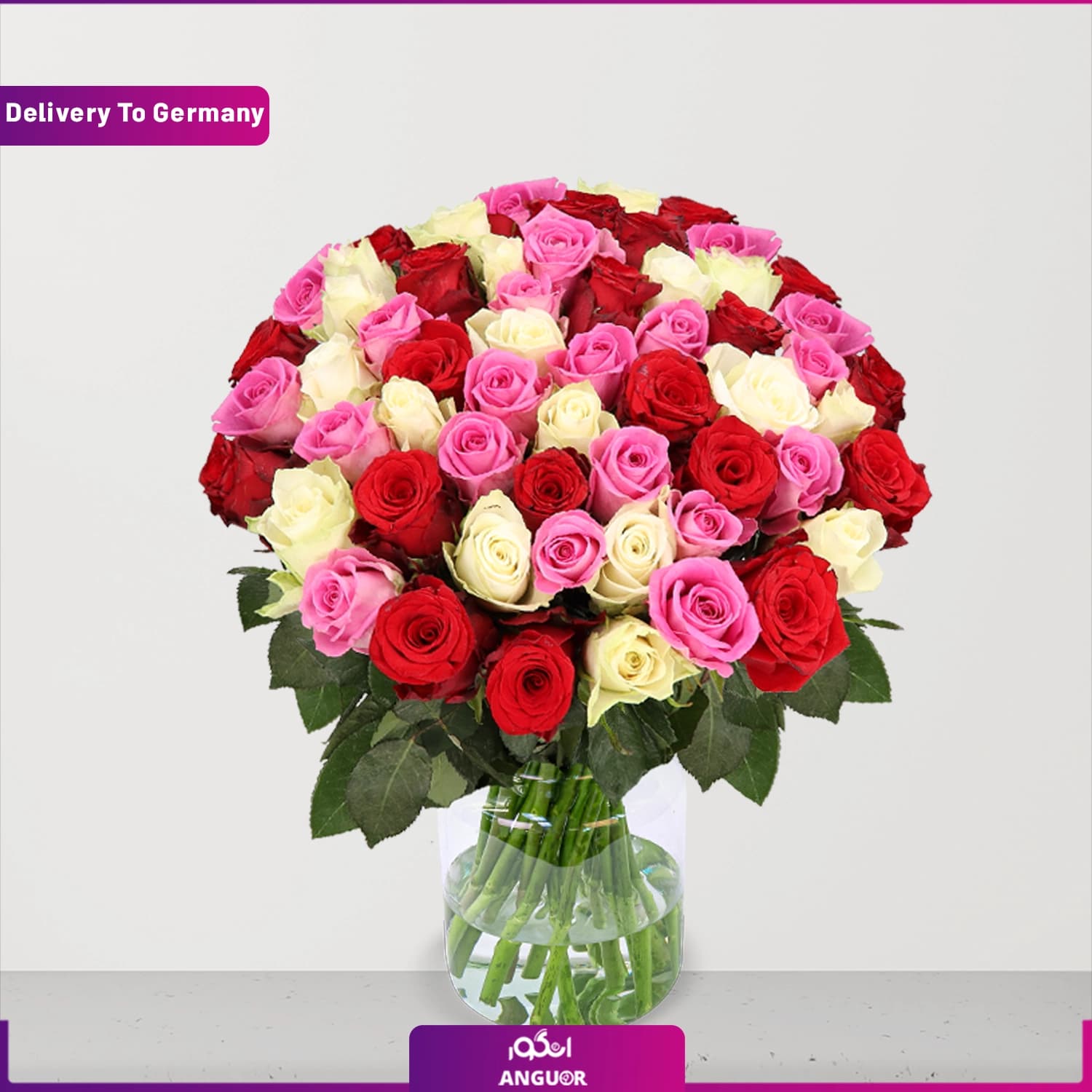 دسته گل 49 شاخه رز (قرمز، سفید و صورتی) – آلمان