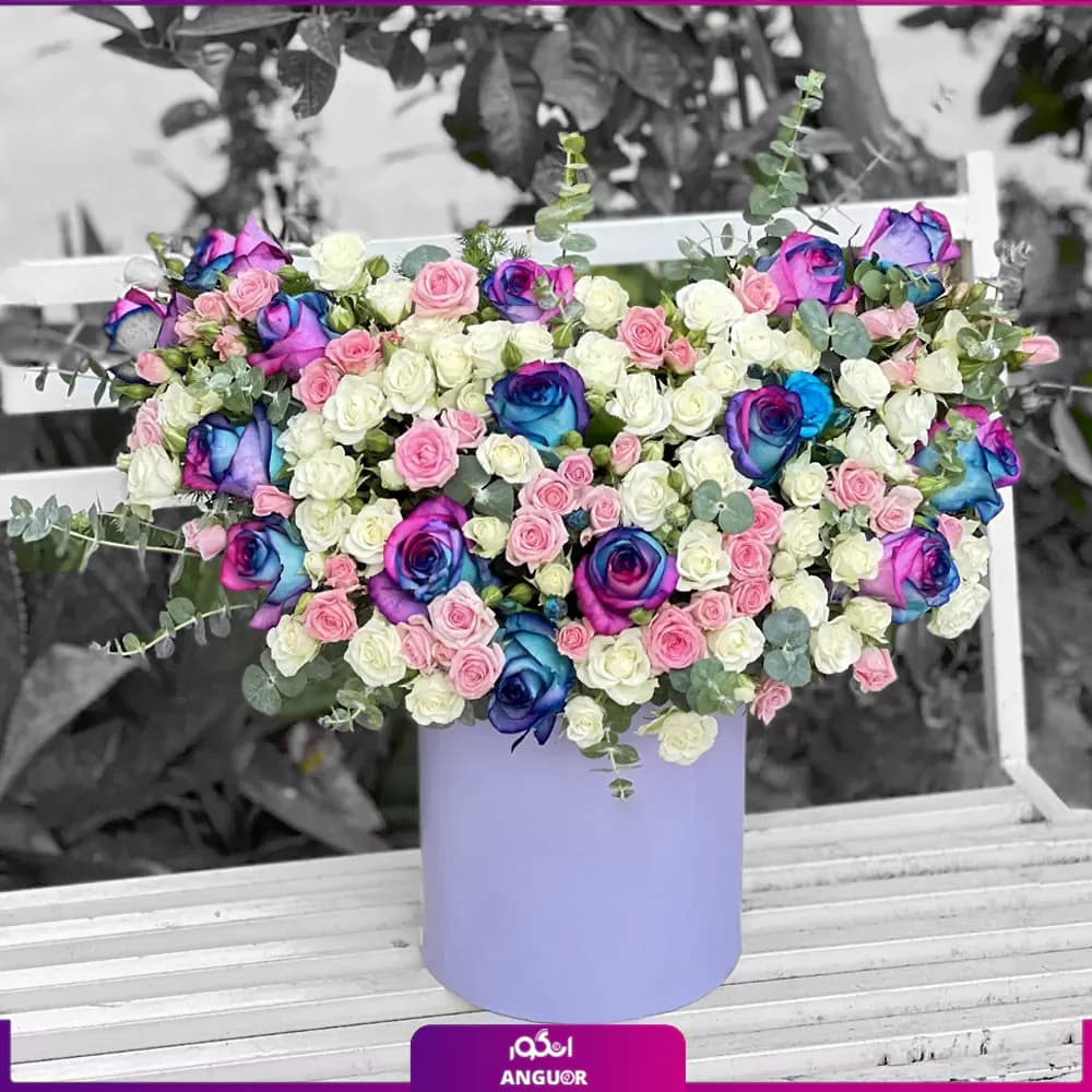 باکس سرود گل‌ها