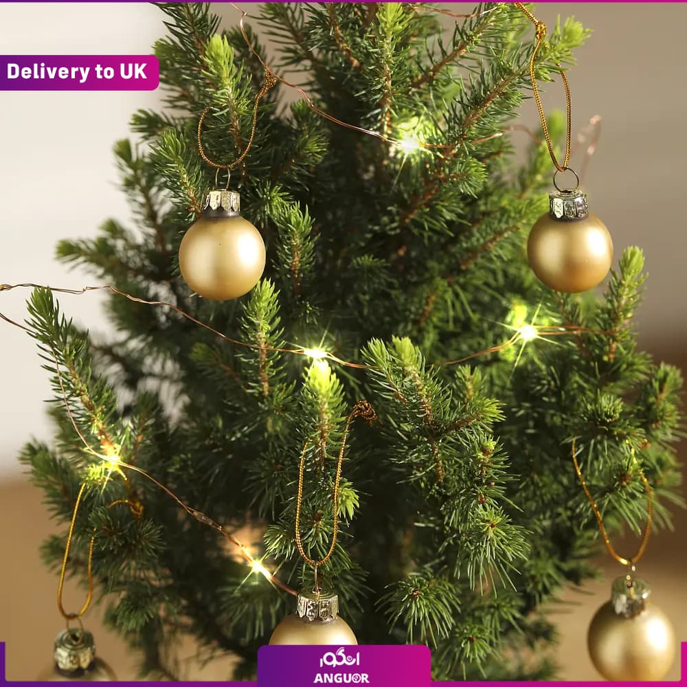 The Classic Tiny Tree (تحویل نگلستان) — تصویر ۲