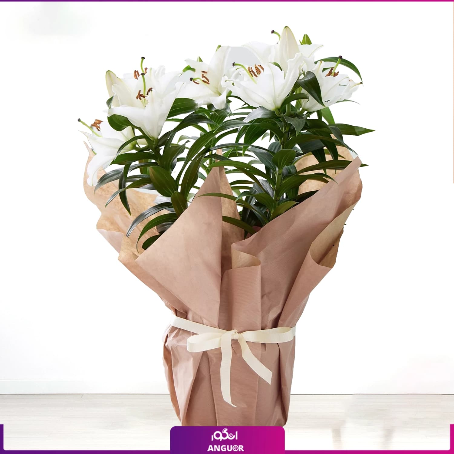 گلدان هدیه لیلیوم سفید