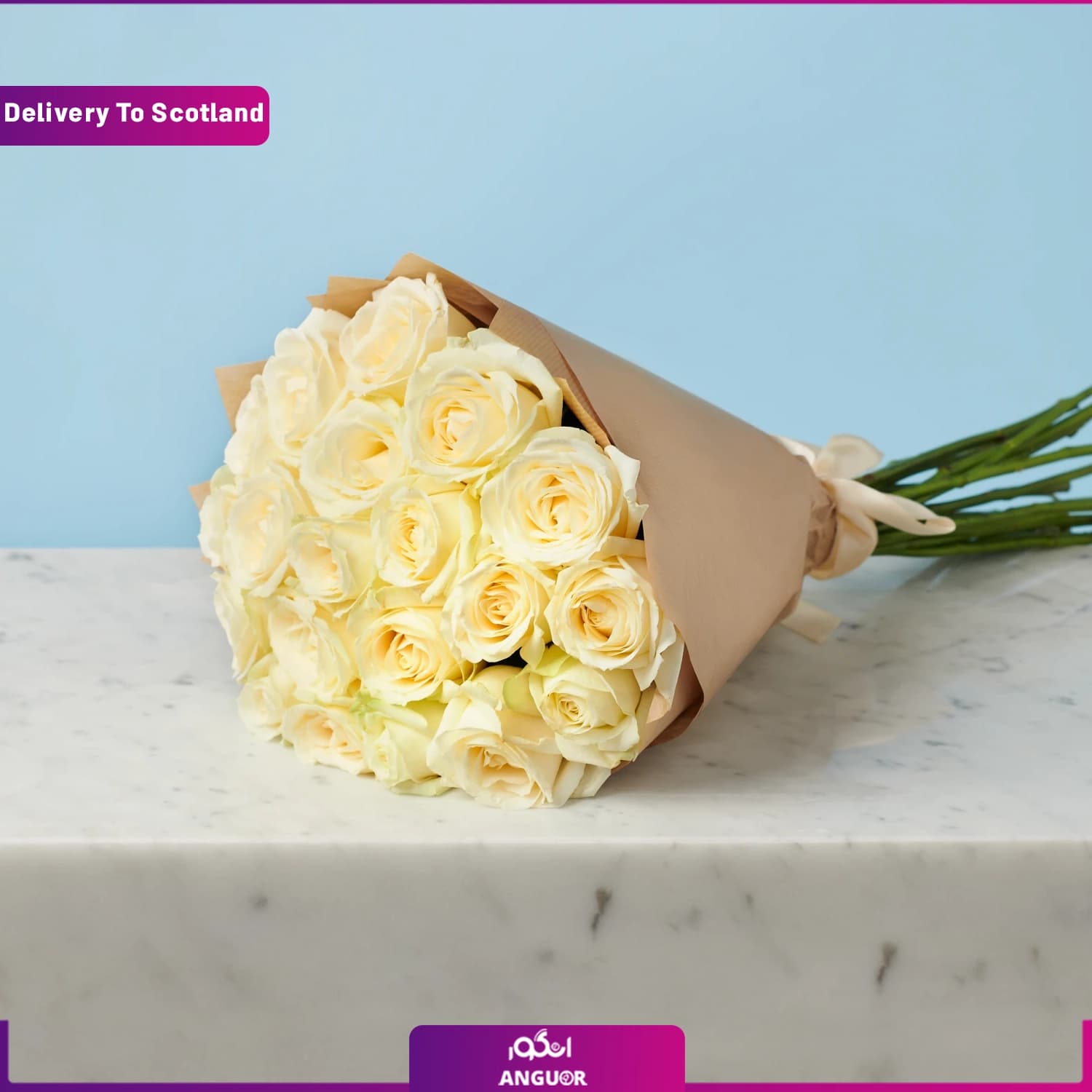 دسته گل 20 شاخه رز سفید (تحویل در اسکاتلند)