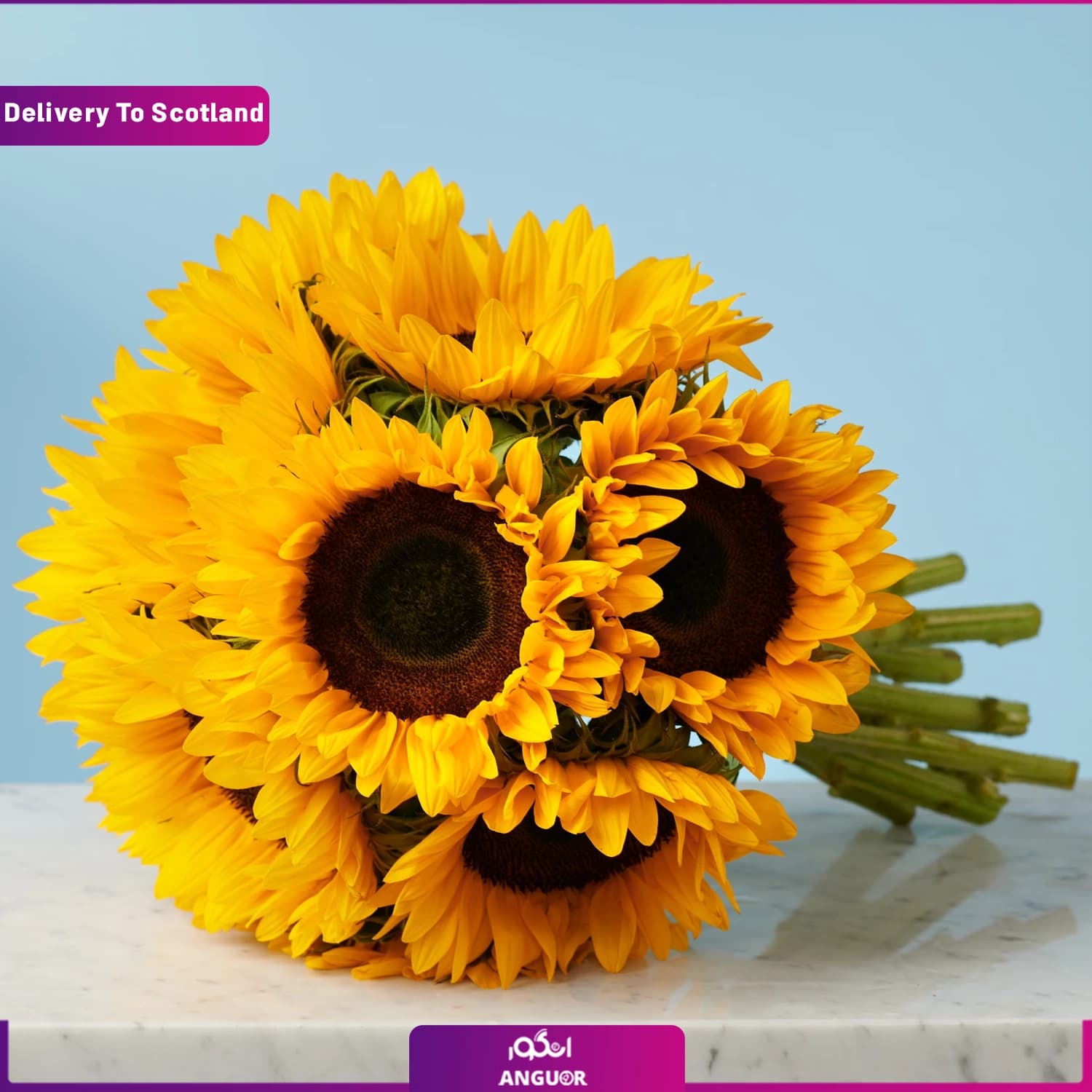 دسته گل 10 شاخه آفتابگردان (تحویل در اسکاتلند)