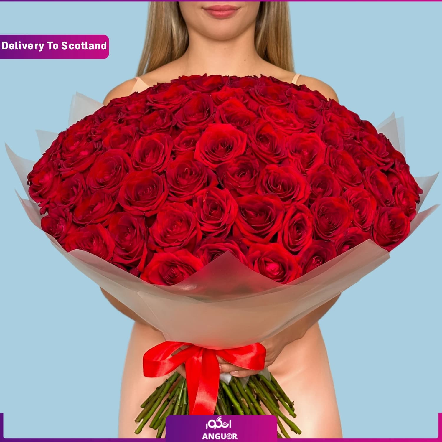 دسته گل 100 شاخه رز قرمز (تحویل در اسکاتلند)