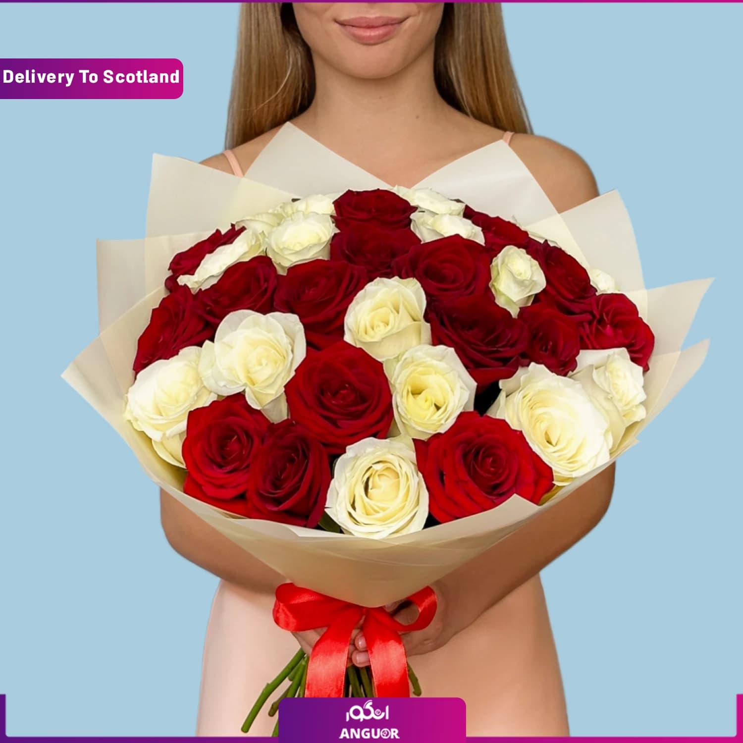 دسته گل 35 شاخه رز سفید و قرمز (تحویل در اسکاتلند)