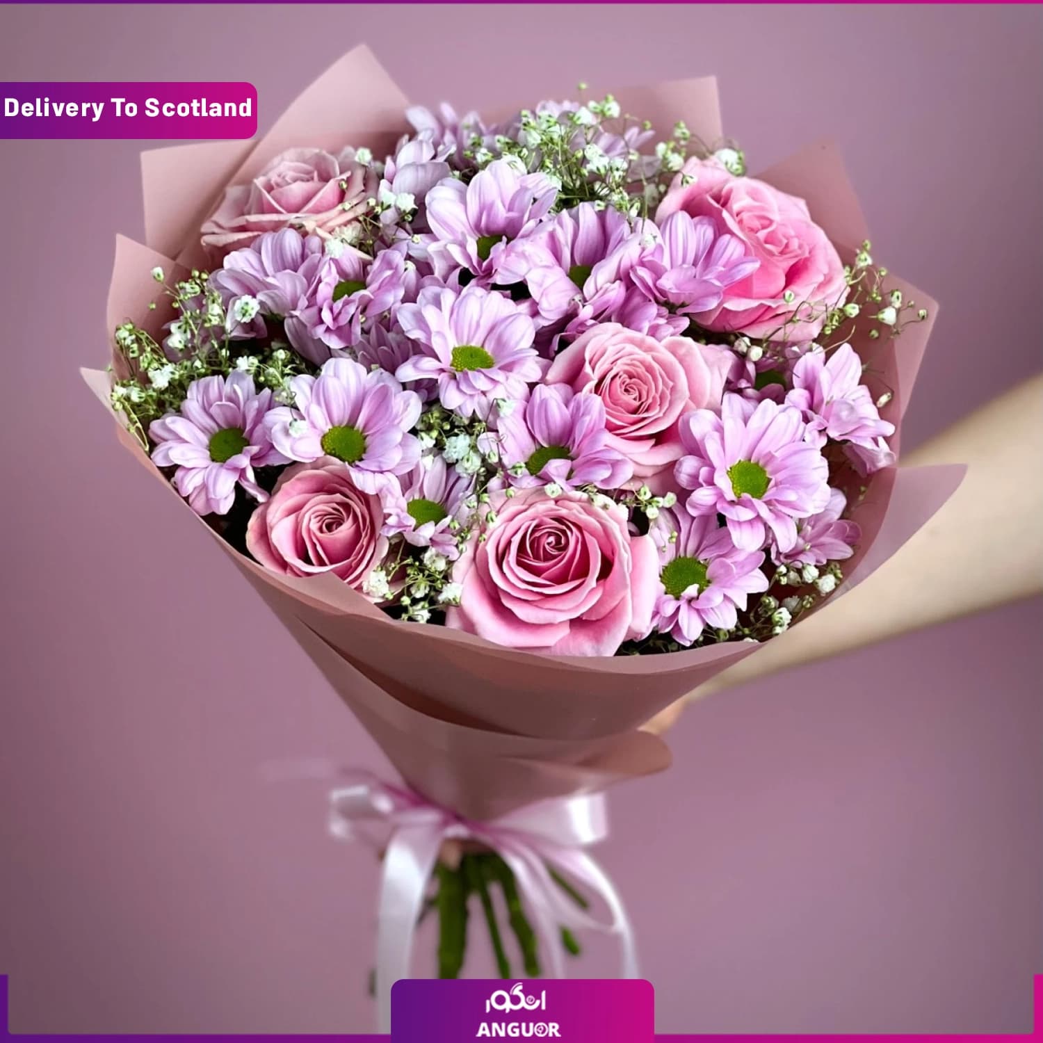 دسته گل رز و داوودی (تحویل در اسکاتلند)