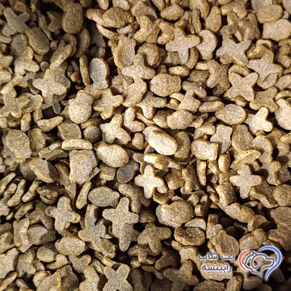 غذای خشک گربه بالغ وی پت فله ای ( بسته بندی رابینسه ) VIPet — تصویر ۲