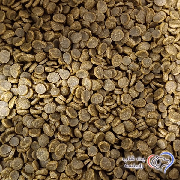 غذای خشک بچه گربه کیتن وی پت 1 کیلوگرم VIPet — تصویر ۲