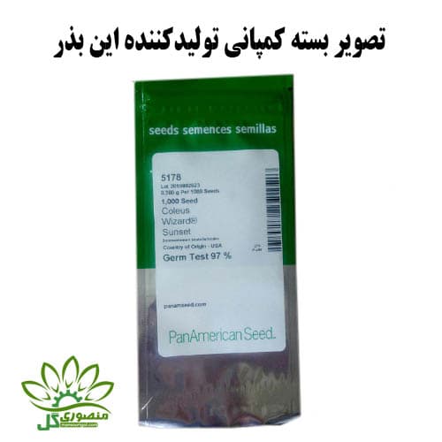 بذر حسن یوسف سانست — تصویر ۲