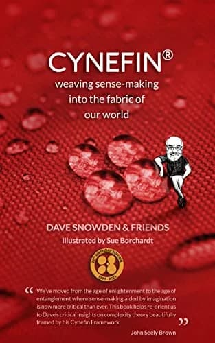 و دانلود نسخه کامل کتاب زبان اصلی Cynefin – Weaving Sense-Making into the Fabric of Our World Kindle Edition | دانلود کتاب خارجی