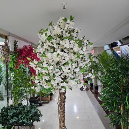 درختچه شکوفه درسا ۲۴۰ سانت مصنوعی