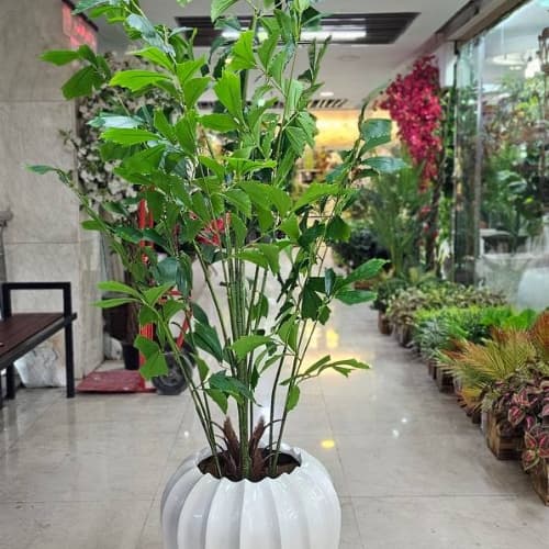درختچه پر سیاوش مصنوعی 190 سانت وارداتی