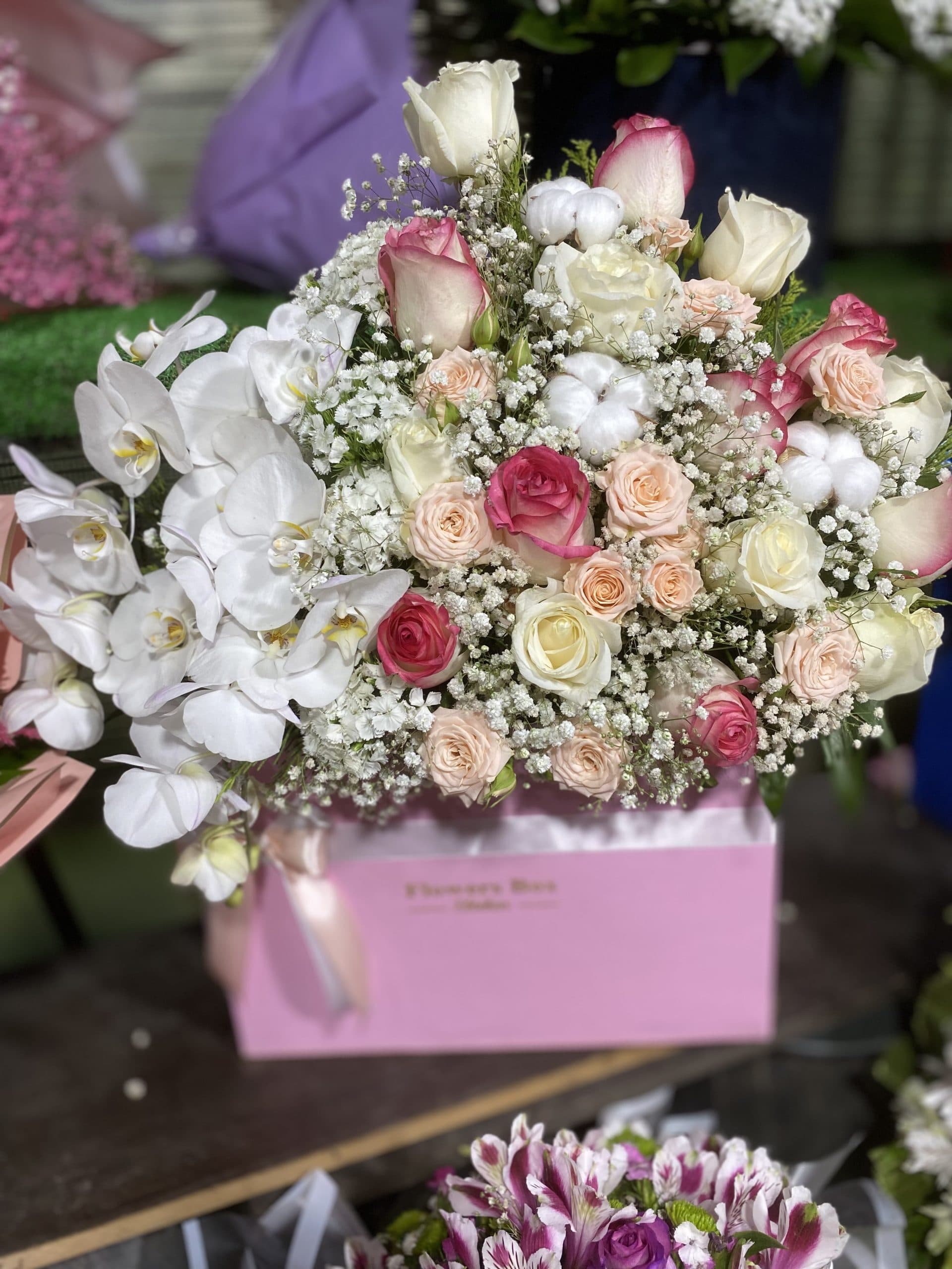 باکس رز و ارکید کد ۸۱