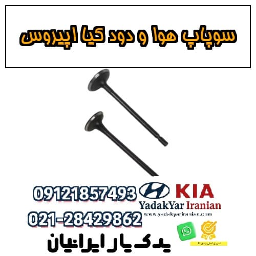 سوپاپ هوا و دود کیا اپیروس