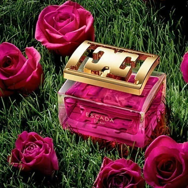 عطر ادکلن اسکادا اسپشیالی الکسیر اصل | Escada Especially Escada Elixir — تصویر ۷