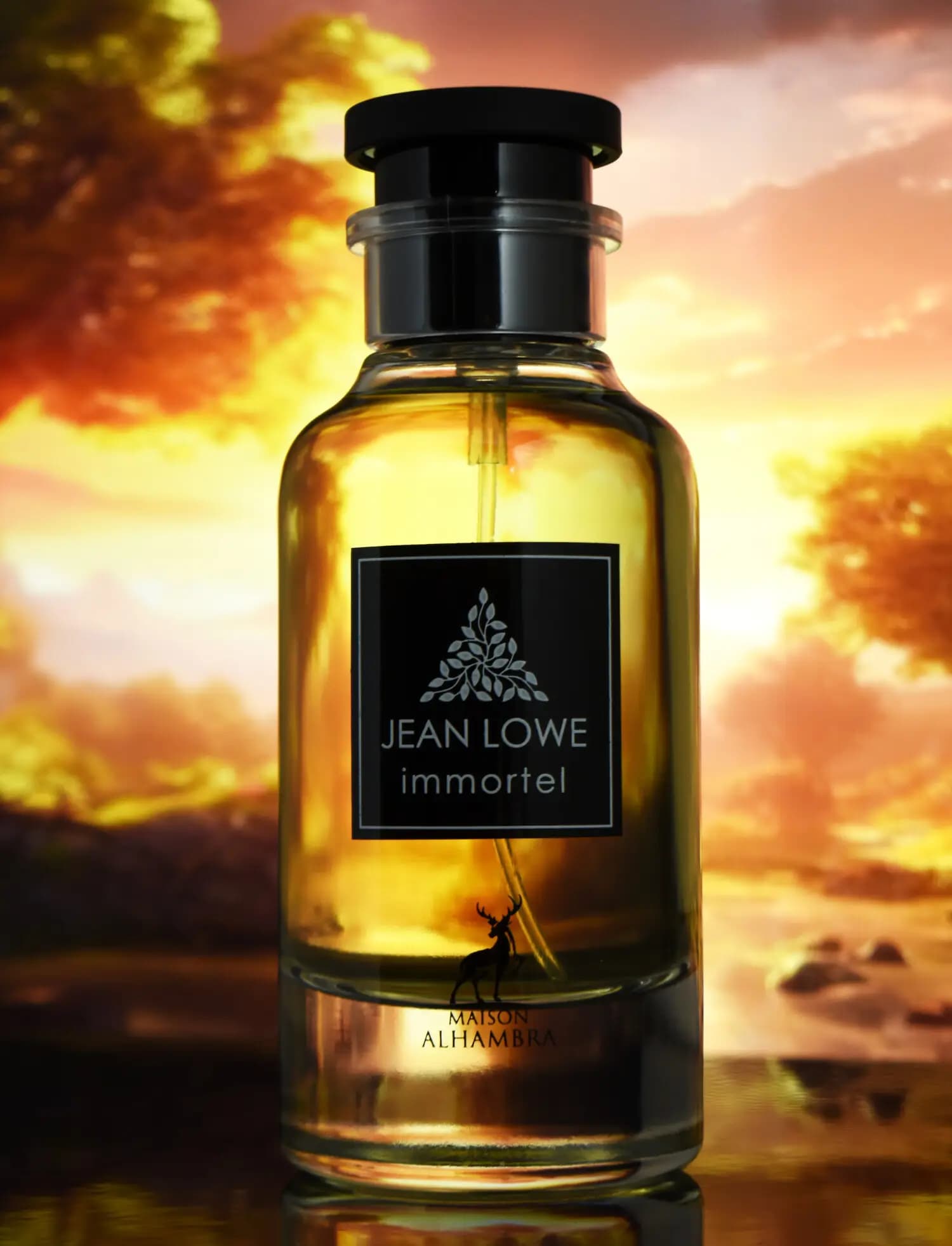 عطر ادکلن الحمبرا جین لوو ایمورتل (ایمنسیت) | Maison Alhambra Jean Lowe Immortal — تصویر ۶