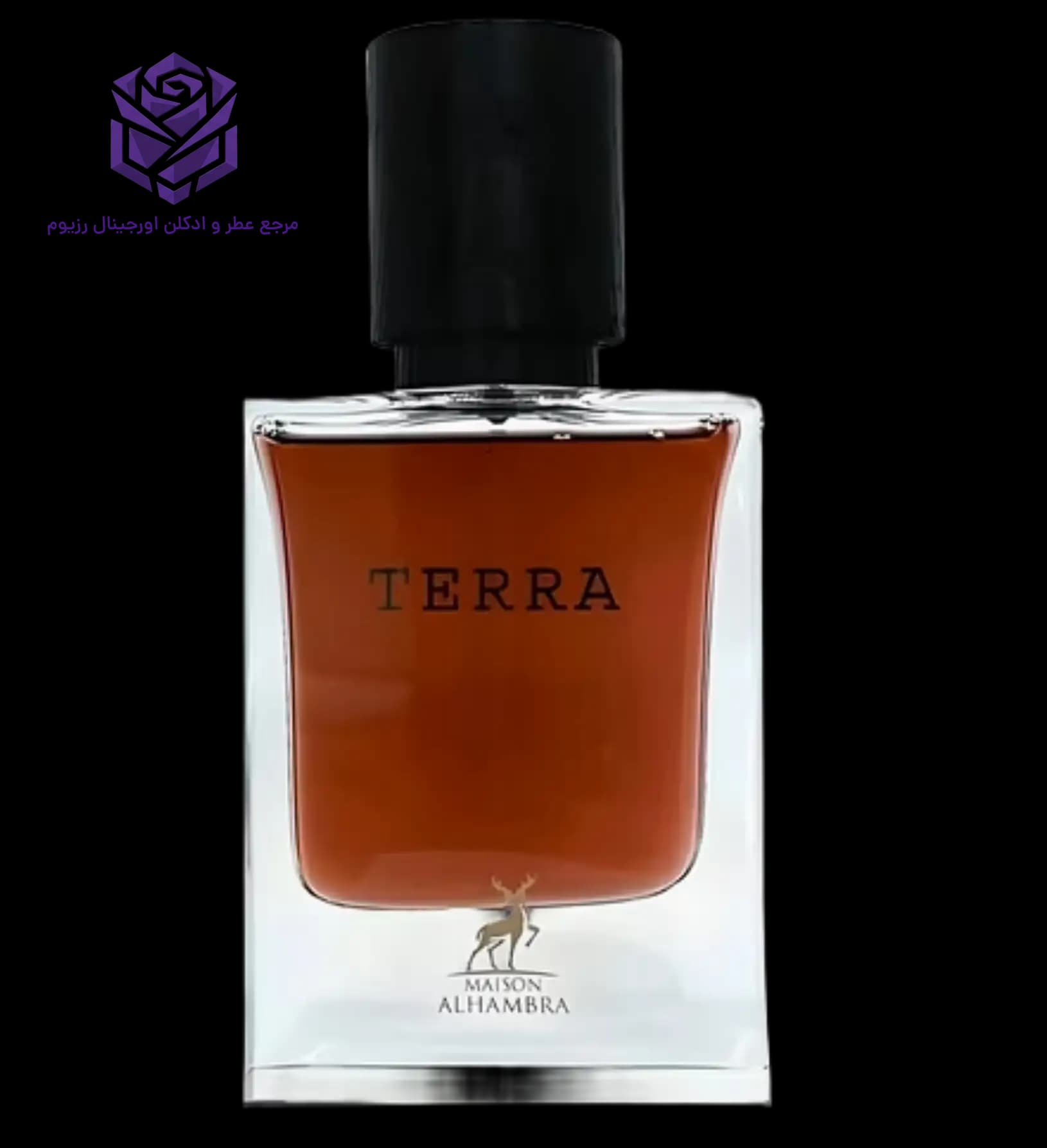 عطر ادکلن الحمبرا ترا (ترونی) اصل | Maison Alhambra Terra