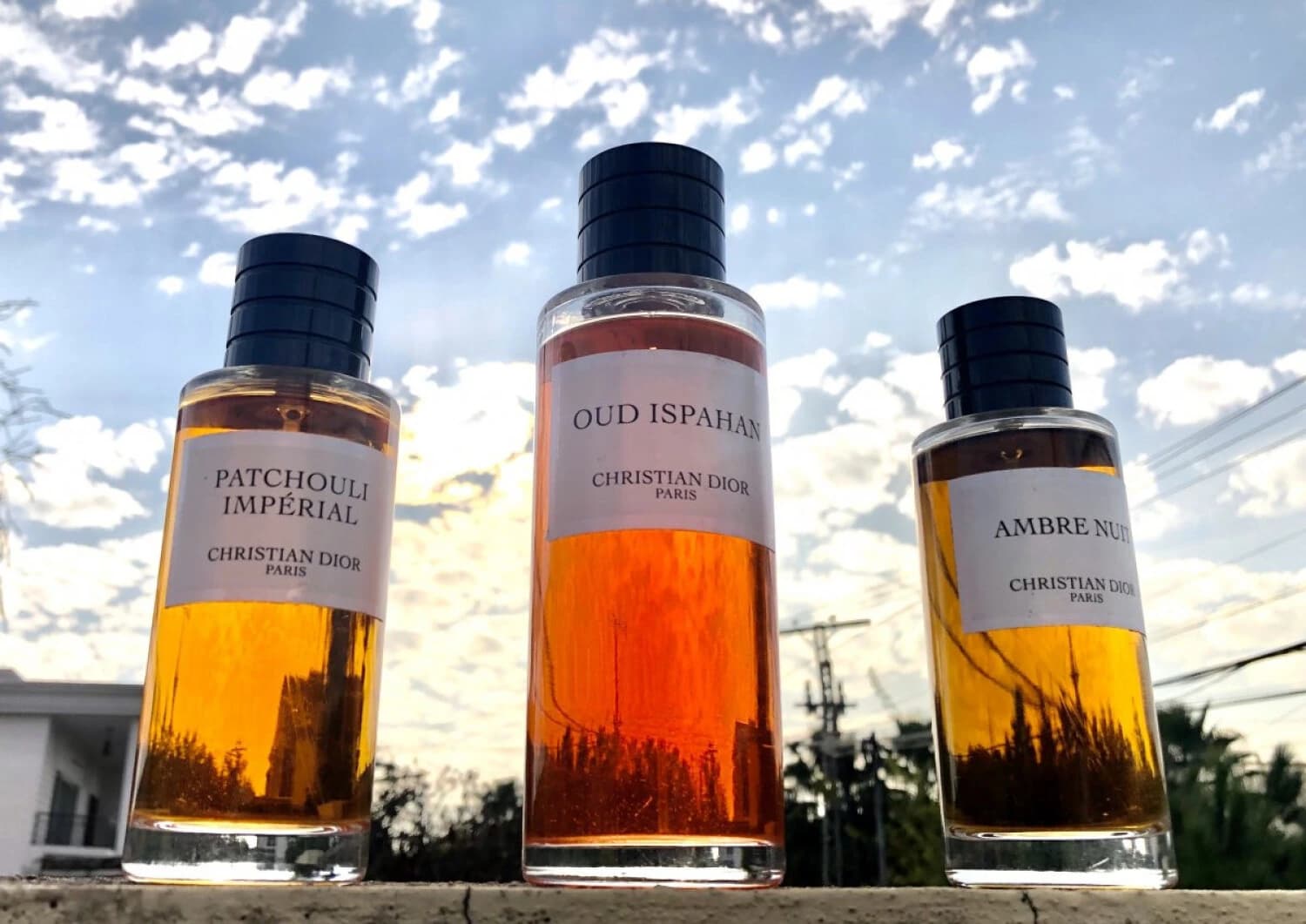 عطر ادکلن دیور اسپهان (عود اصفهان) 200 میل | Dior Oud Ispahan — تصویر ۴