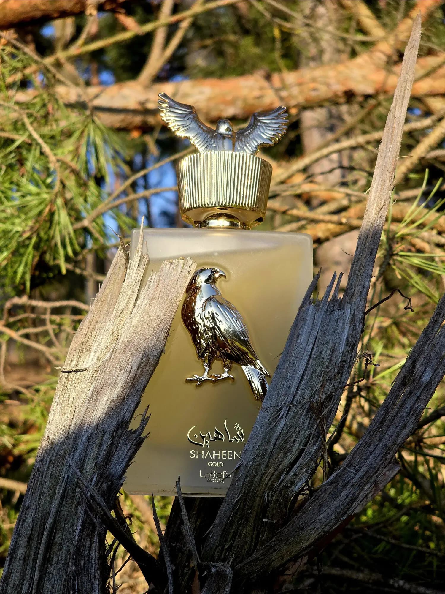 عطر ادکلن لطافه شاهین گلد اصل | Lattafa Perfumes Shaheen Gold — تصویر ۶
