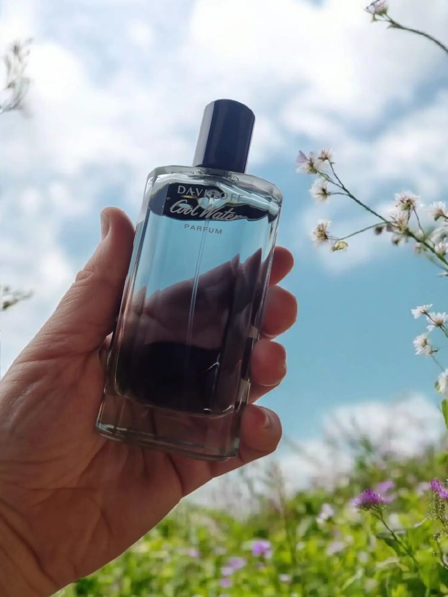 عطر ادکلن دیویدوف کول واتر پرفیوم اصل | Davidoff Cool Water Parfum — تصویر ۵