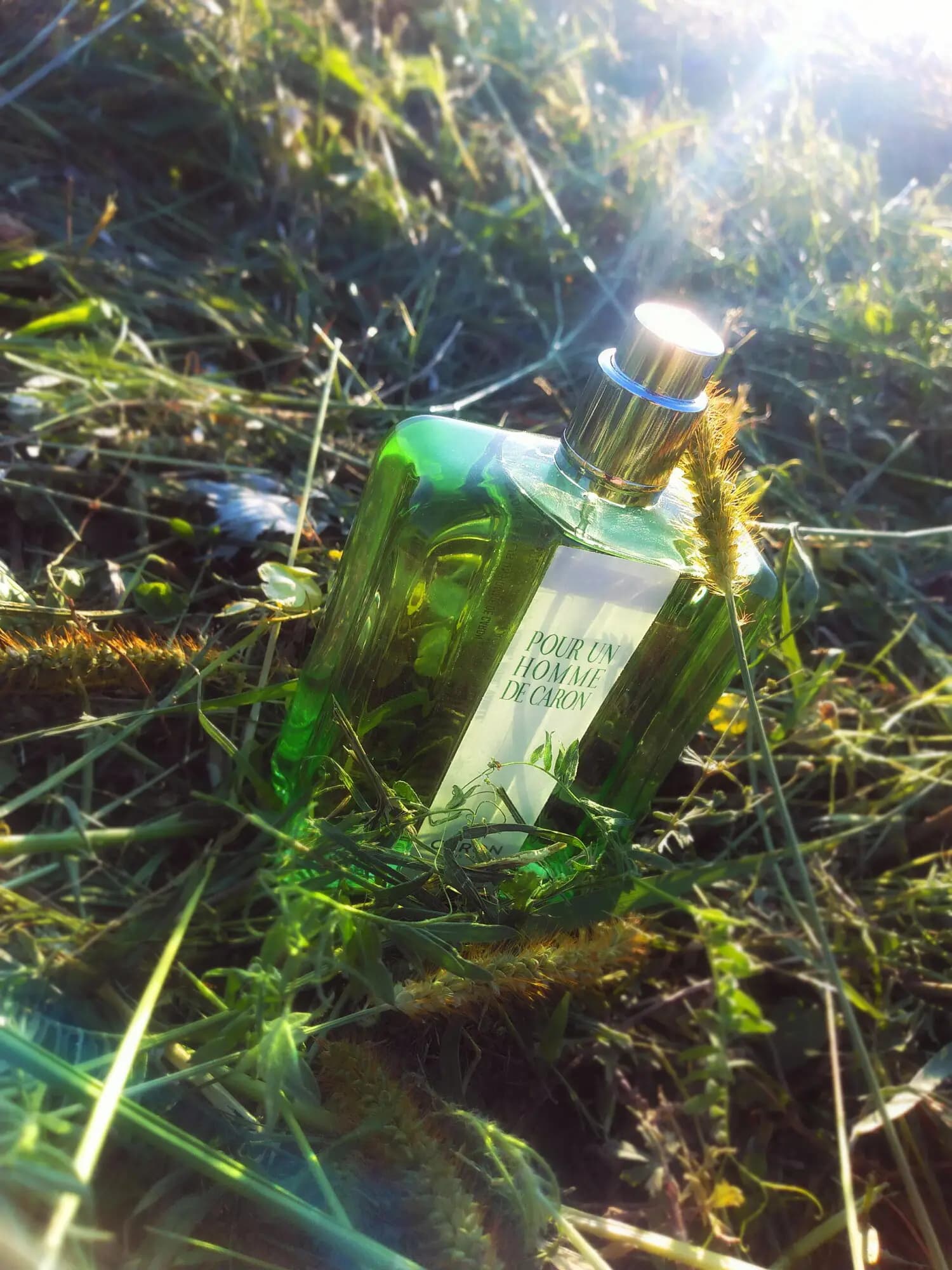 عطر ادکلن کارون عطر شاه 125 میل اصل | Caron Pour Un Homme de Caron — تصویر ۸