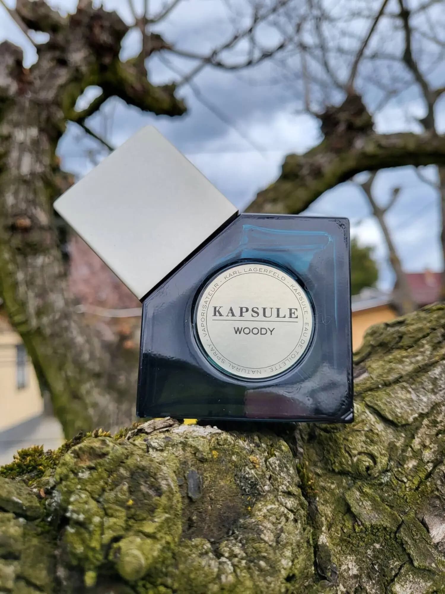 عطر ادکلن کارل لاگرفلد کپسول وودی اصل | Karl Lagerfeld Kapsule Woody — تصویر ۸