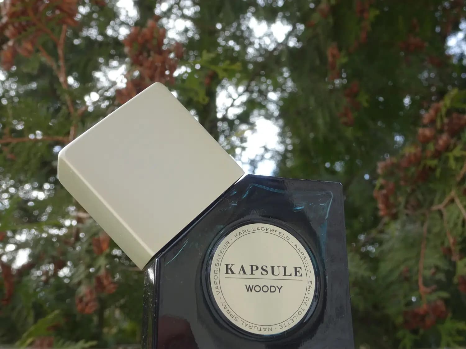 عطر ادکلن کارل لاگرفلد کپسول وودی اصل | Karl Lagerfeld Kapsule Woody — تصویر ۷
