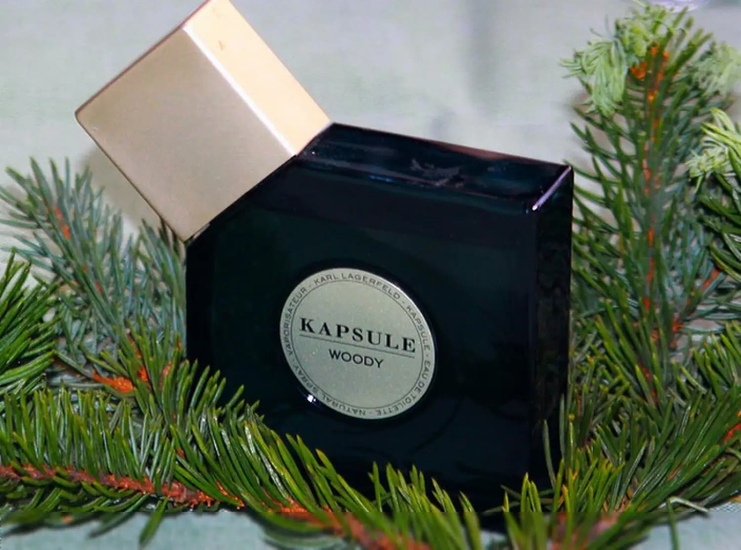 عطر ادکلن کارل لاگرفلد کپسول وودی اصل | Karl Lagerfeld Kapsule Woody — تصویر ۴