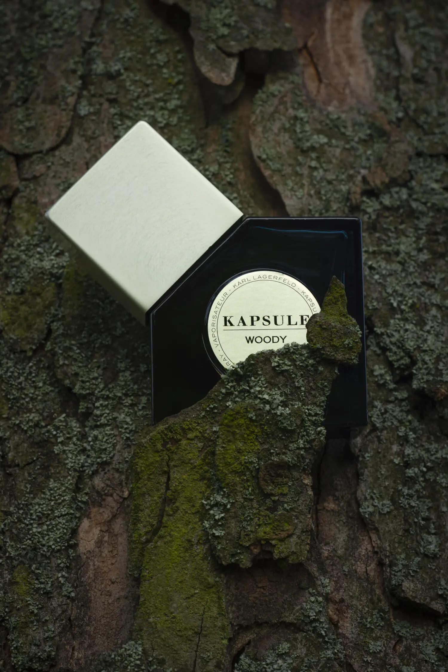عطر ادکلن کارل لاگرفلد کپسول وودی اصل | Karl Lagerfeld Kapsule Woody — تصویر ۵