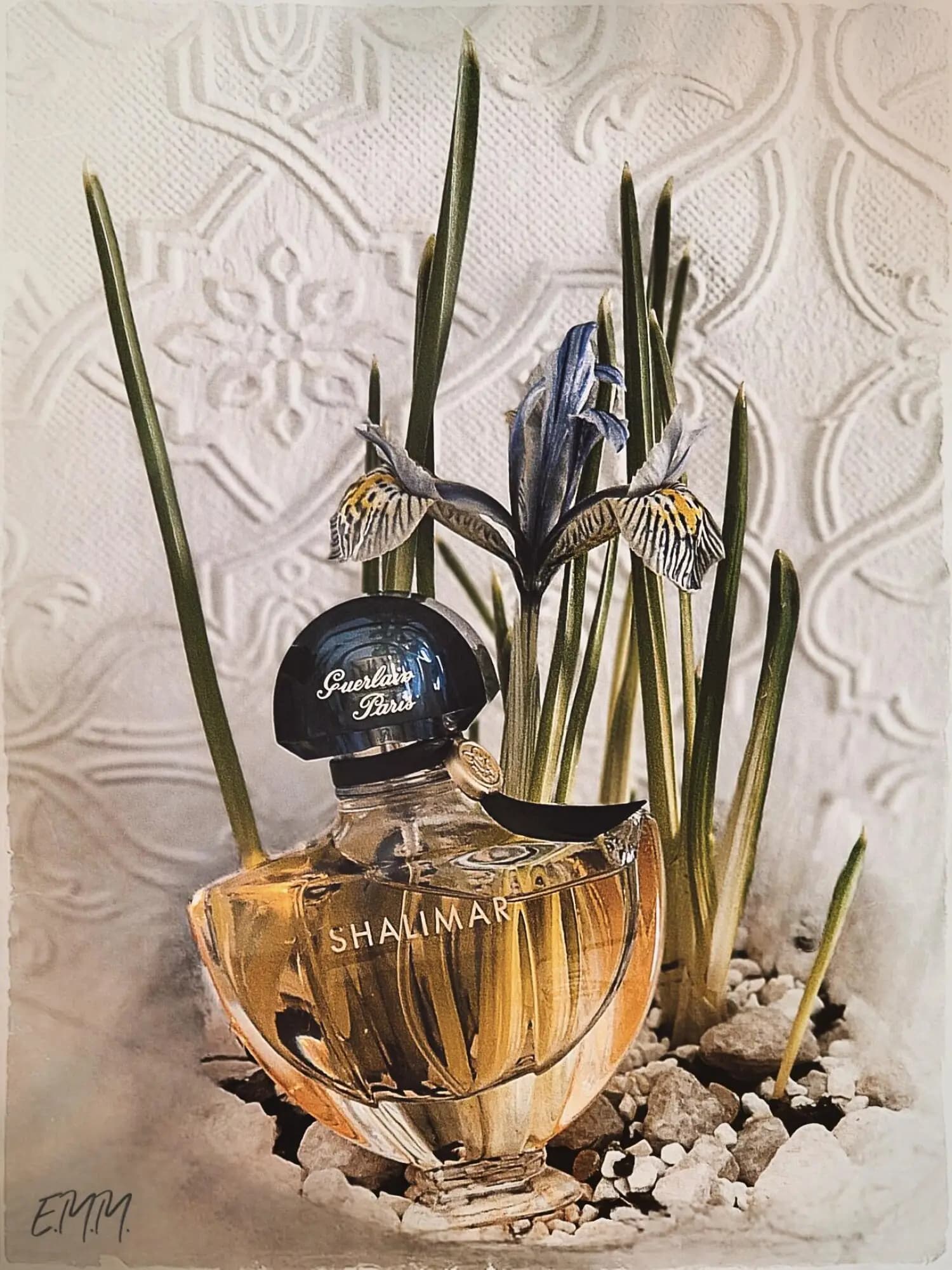 عطر ادکلن گرلن شالیمار ادو پرفیوم اصل | Guerlain Shalimar Eau de Parfum — تصویر ۷