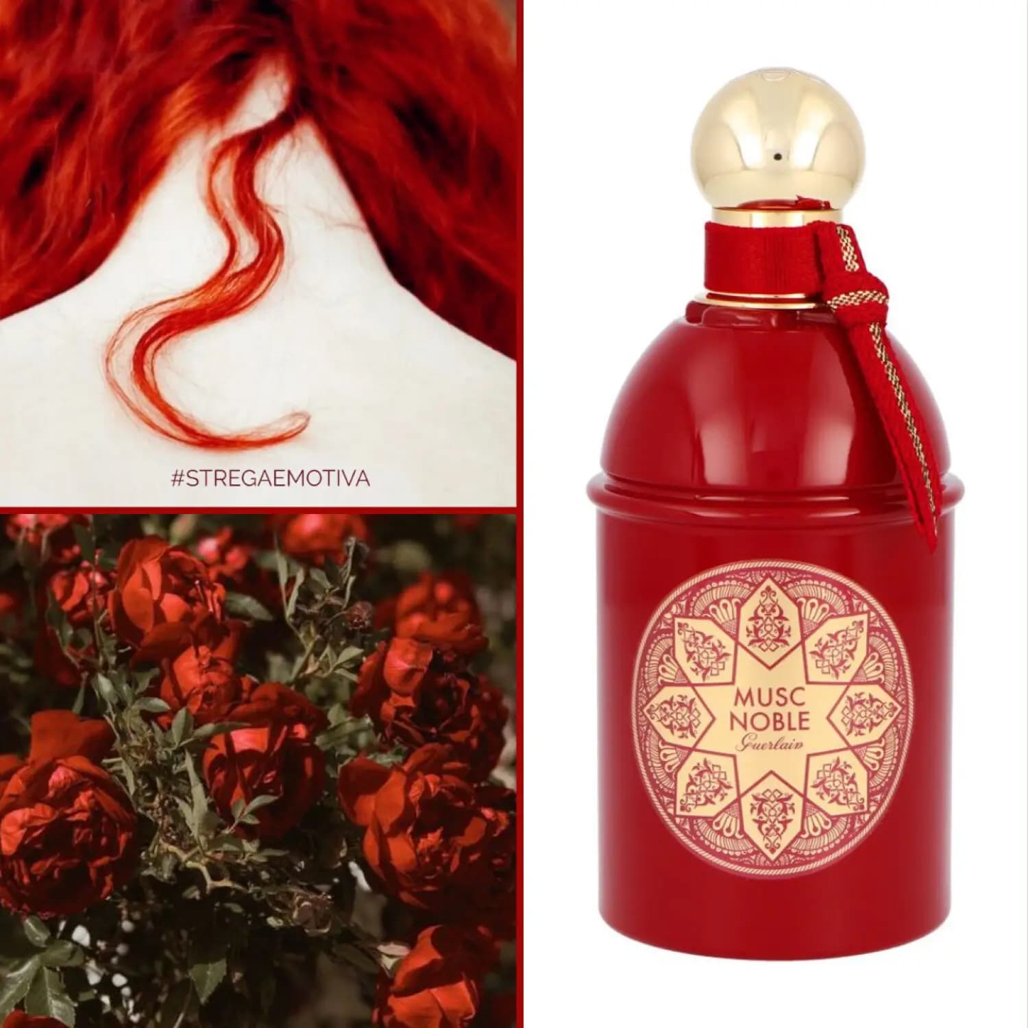 عطر ادکلن گرلن ماسک نوبل اصل | Guerlain Les Absolus d Orient Musc Noble — تصویر ۴