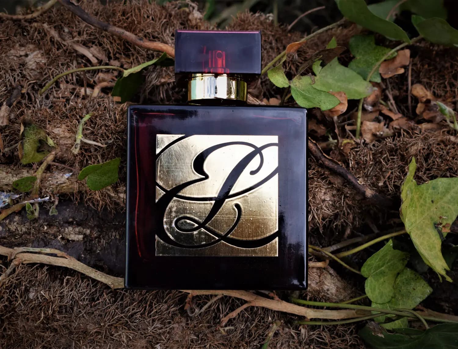عطر ادکلن استی لودر امبر میستیک اصل | Estee Lauder Amber Mystique — تصویر ۵