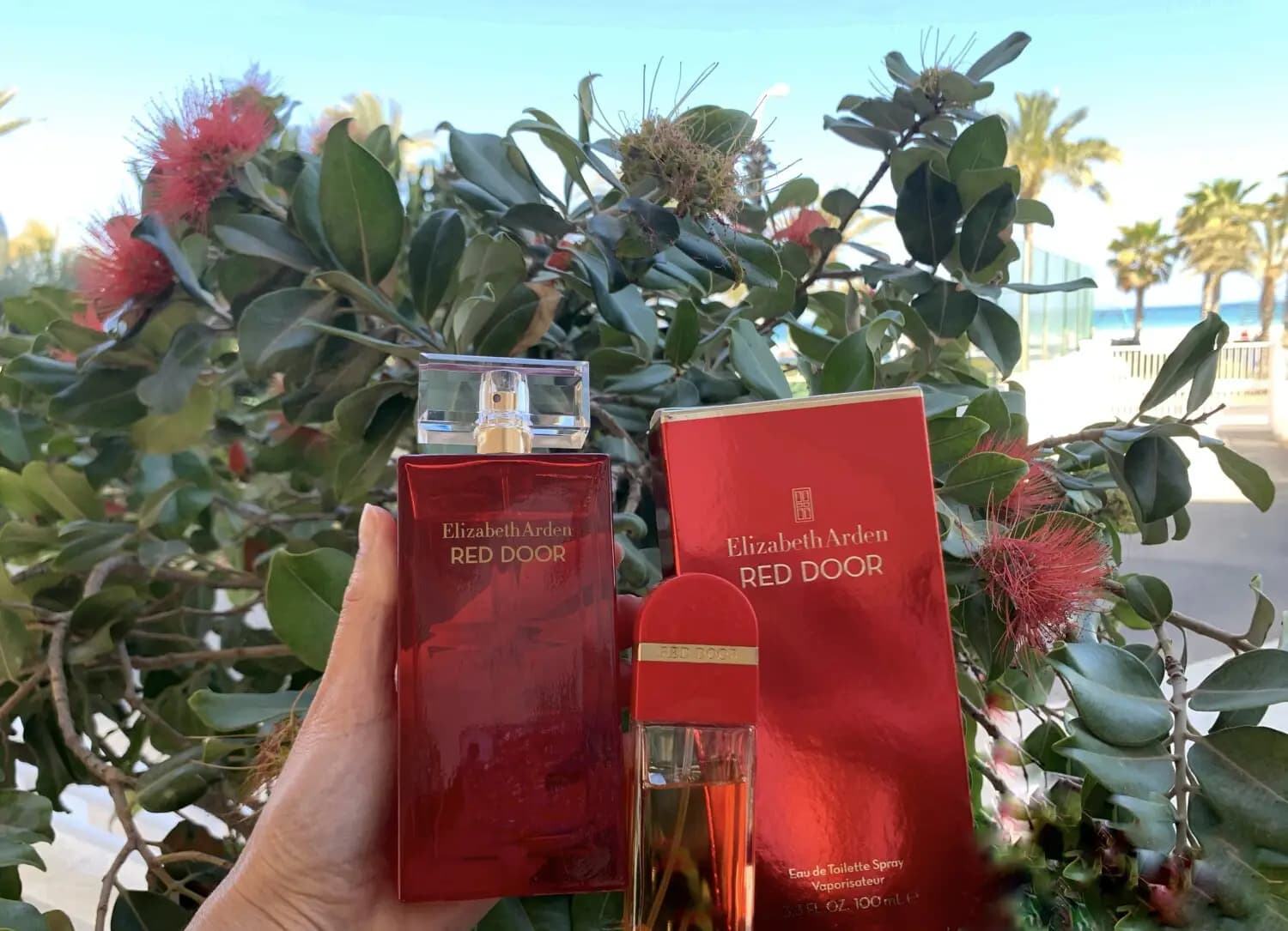 عطر ادکلن الیزابت آردن رد دور اصل | Elizabeth Arden Red Door — تصویر ۸