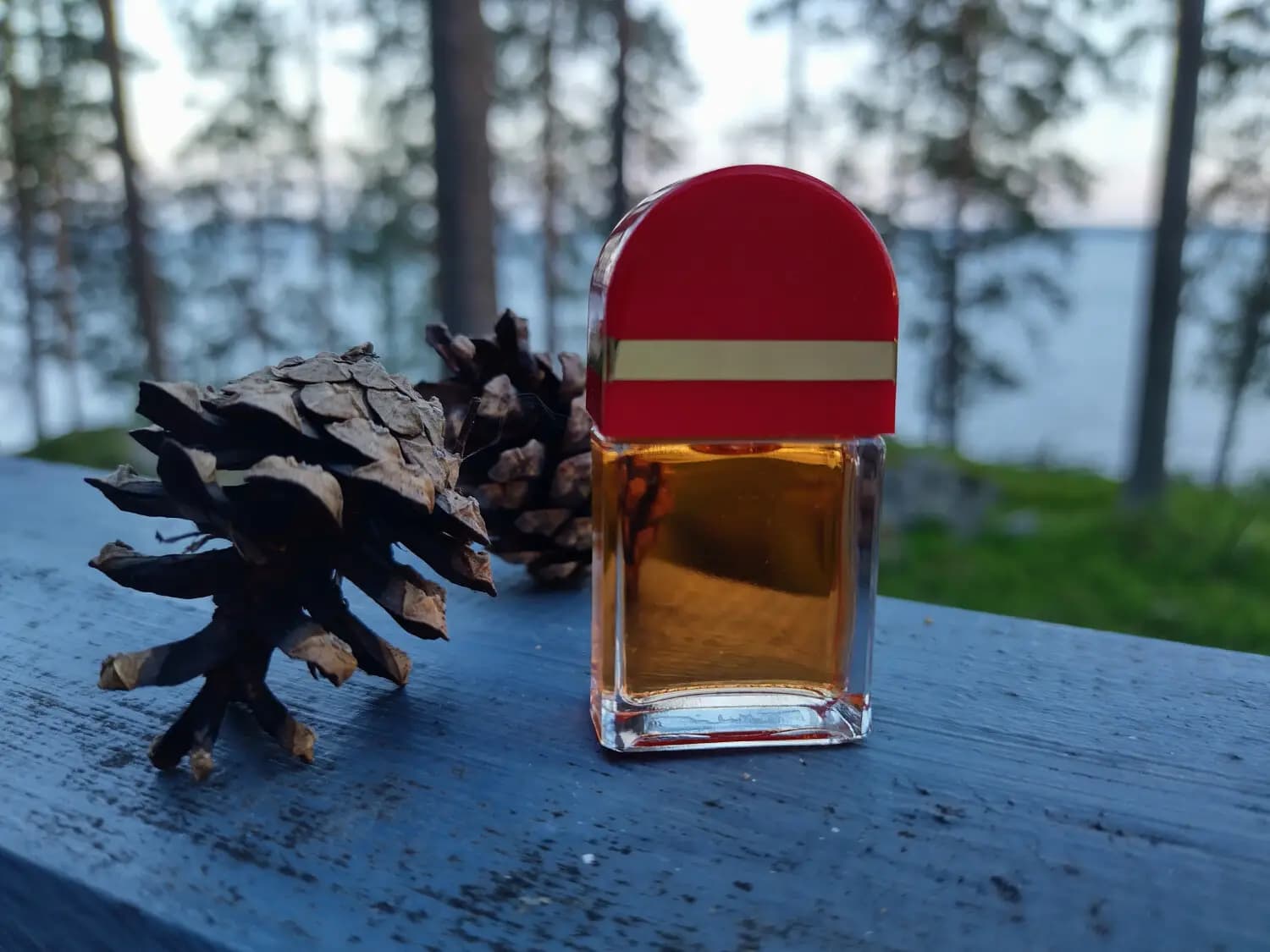 عطر ادکلن الیزابت آردن رد دور اصل | Elizabeth Arden Red Door — تصویر ۳