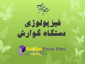 پاورپوینت فیزیولوژی گوارش