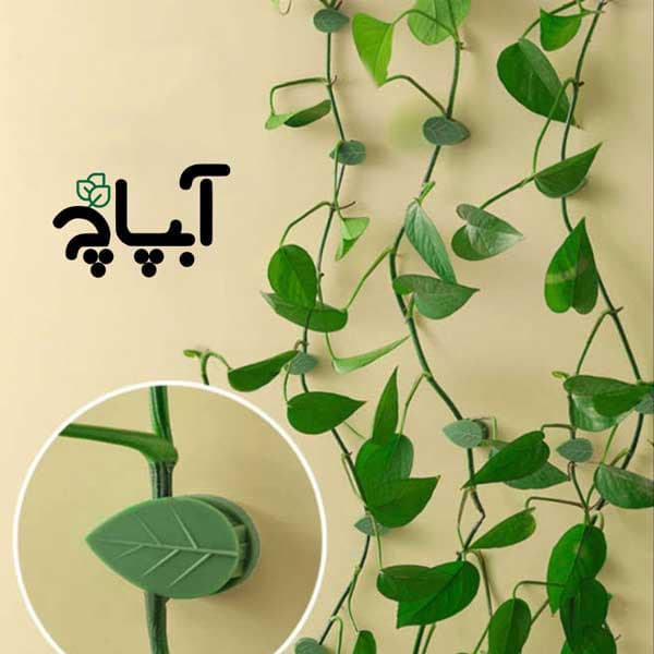 گیره نگهدارنده مدل برگ بسته 10 عددی — تصویر ۲