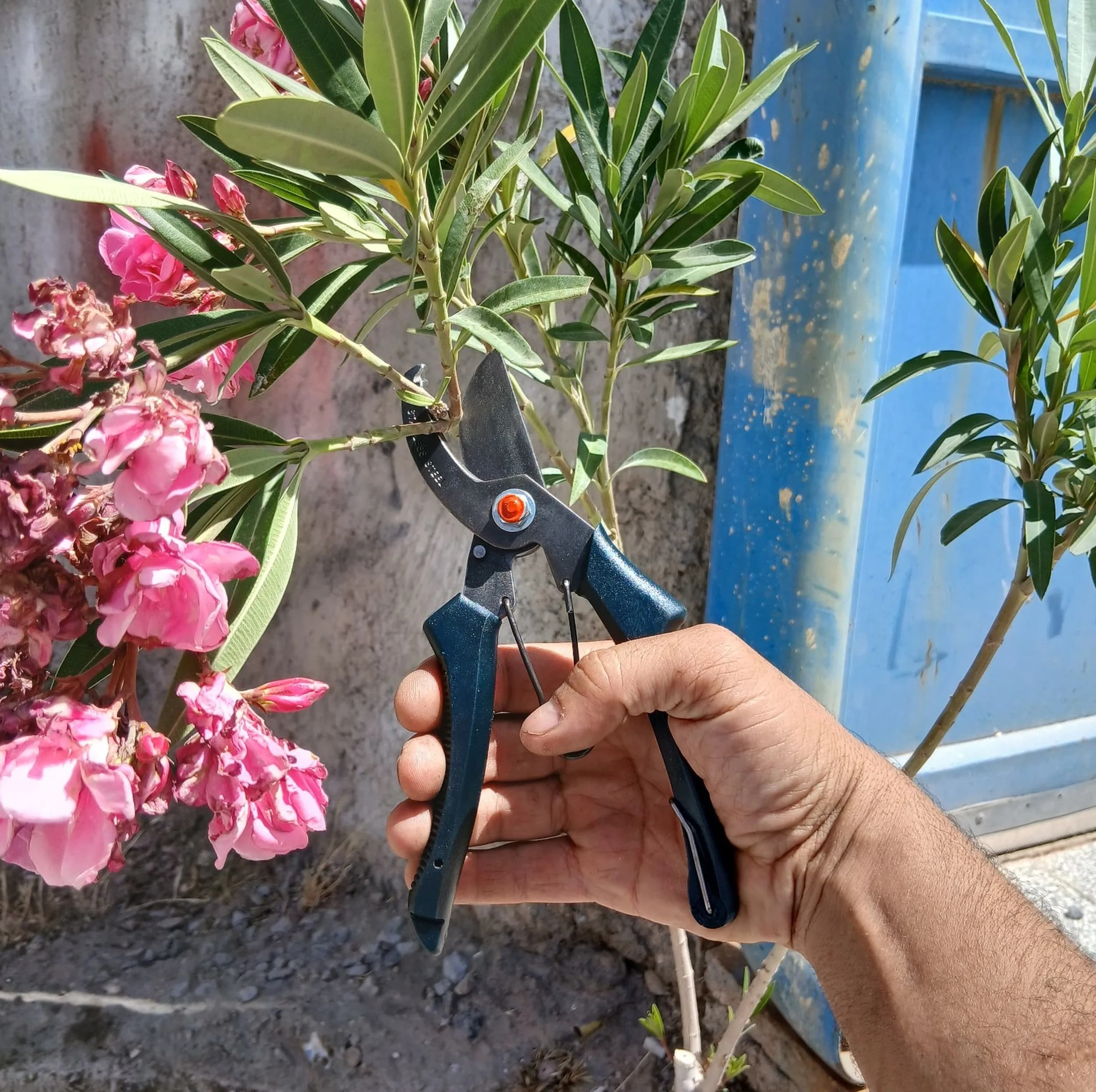 قیچی باغبانی مدل M35 — تصویر ۲