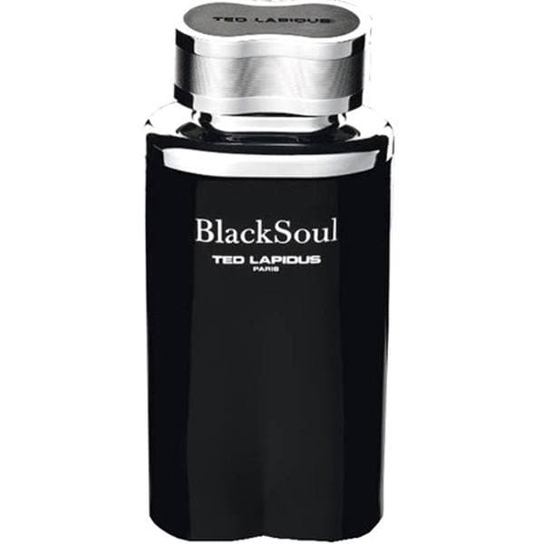 ادوتویلت مردانه تد لاپیدوس مدل Black Soul حجم ۱۰۰ میلی لیتر