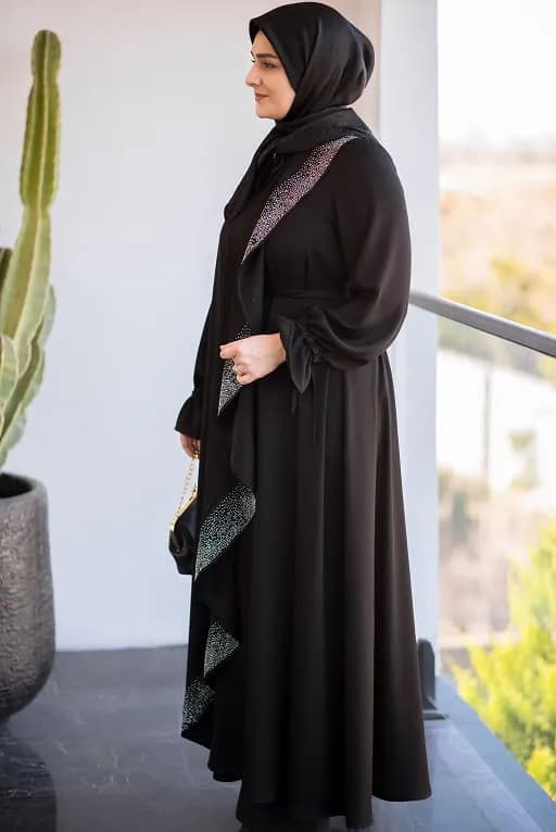 عبا سلین — تصویر ۳