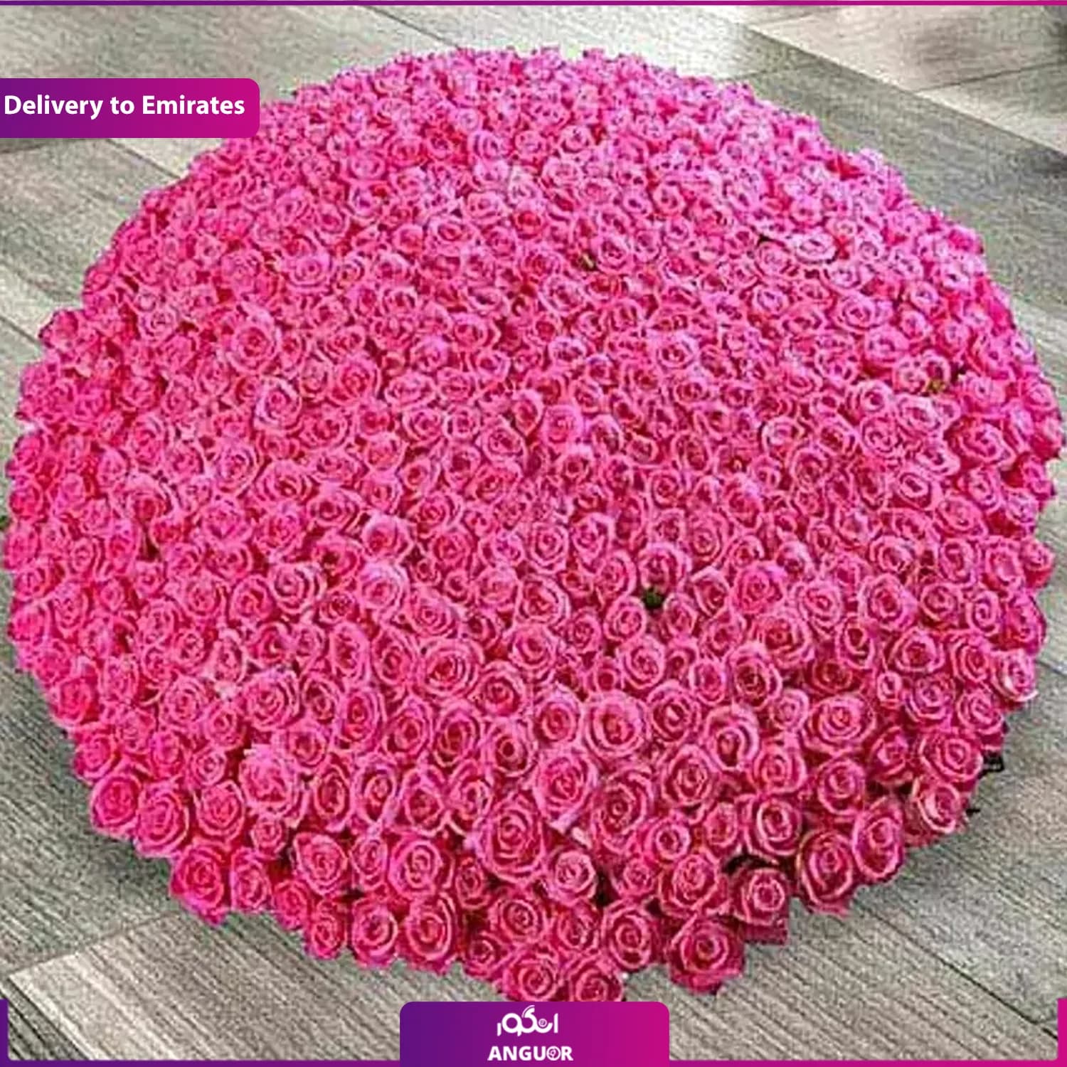 باکس گل رز 500 شاخه (تحویل در امارات)