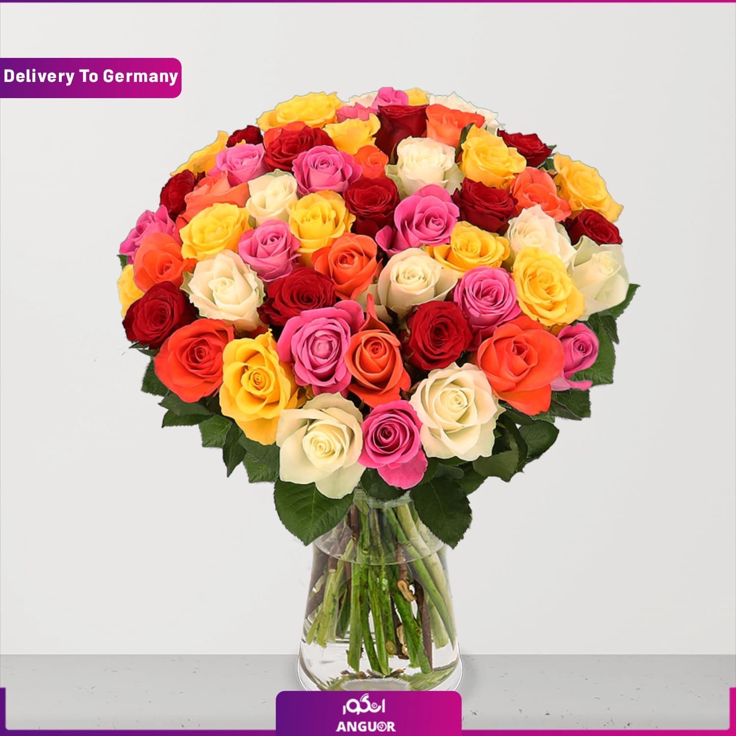 دسته گل 50 شاخه رز رنگی (تحویل در آلمان)