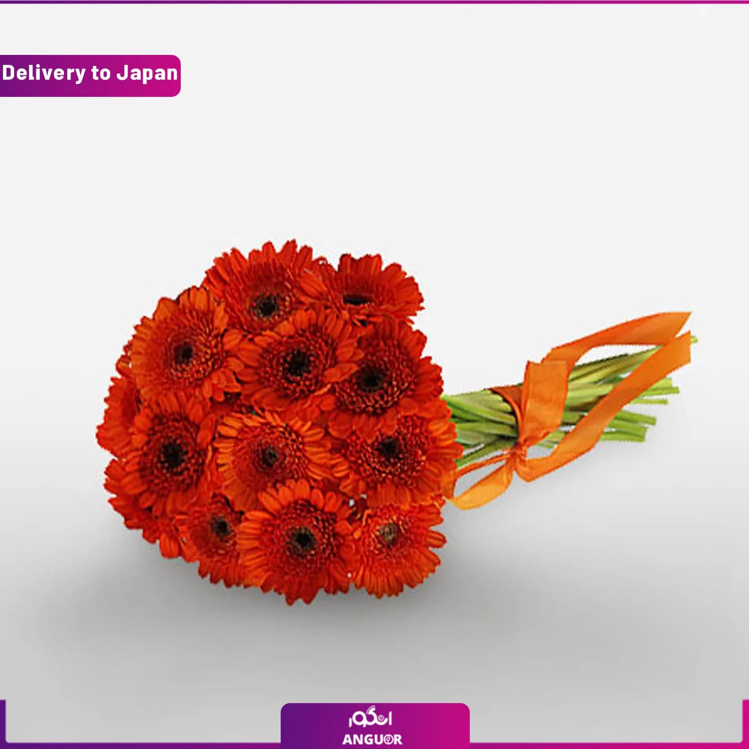 دسته گل ژربرای قرمز (ارسال به ژاپن)