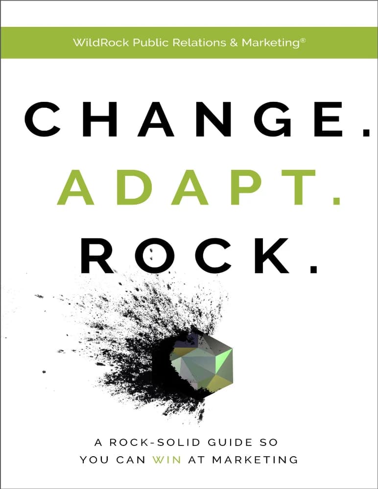 کتاب Change, Adapt, Rock (تغییر، انطباق، درخشش) نسخه انگلیسی PDF