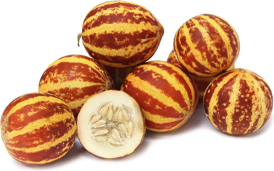 بذر خربزه ی مینیاتوری ببری (دستنبو) — تصویر ۳
