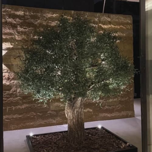 درختچه زیتون مصنوعی سهند 270 سانتی متر با قطر 35 سانتی